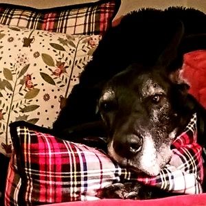 Meet your Posher, Kim